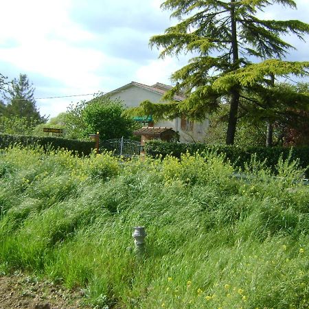 B&B La Mimosa Spello Buitenkant foto