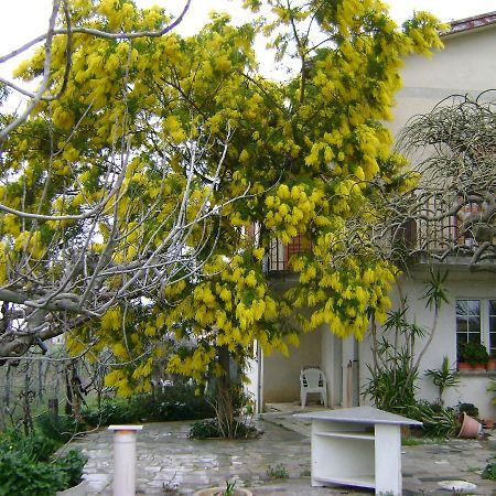 B&B La Mimosa Spello Buitenkant foto
