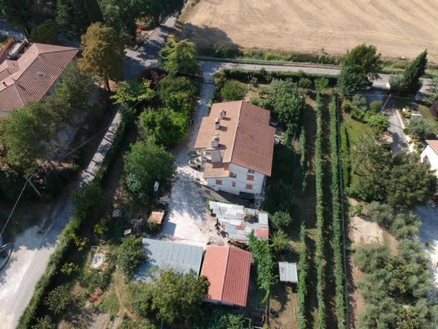 B&B La Mimosa Spello Buitenkant foto