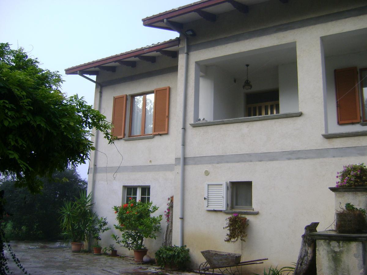 B&B La Mimosa Spello Buitenkant foto