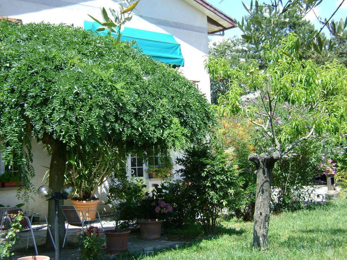 B&B La Mimosa Spello Buitenkant foto